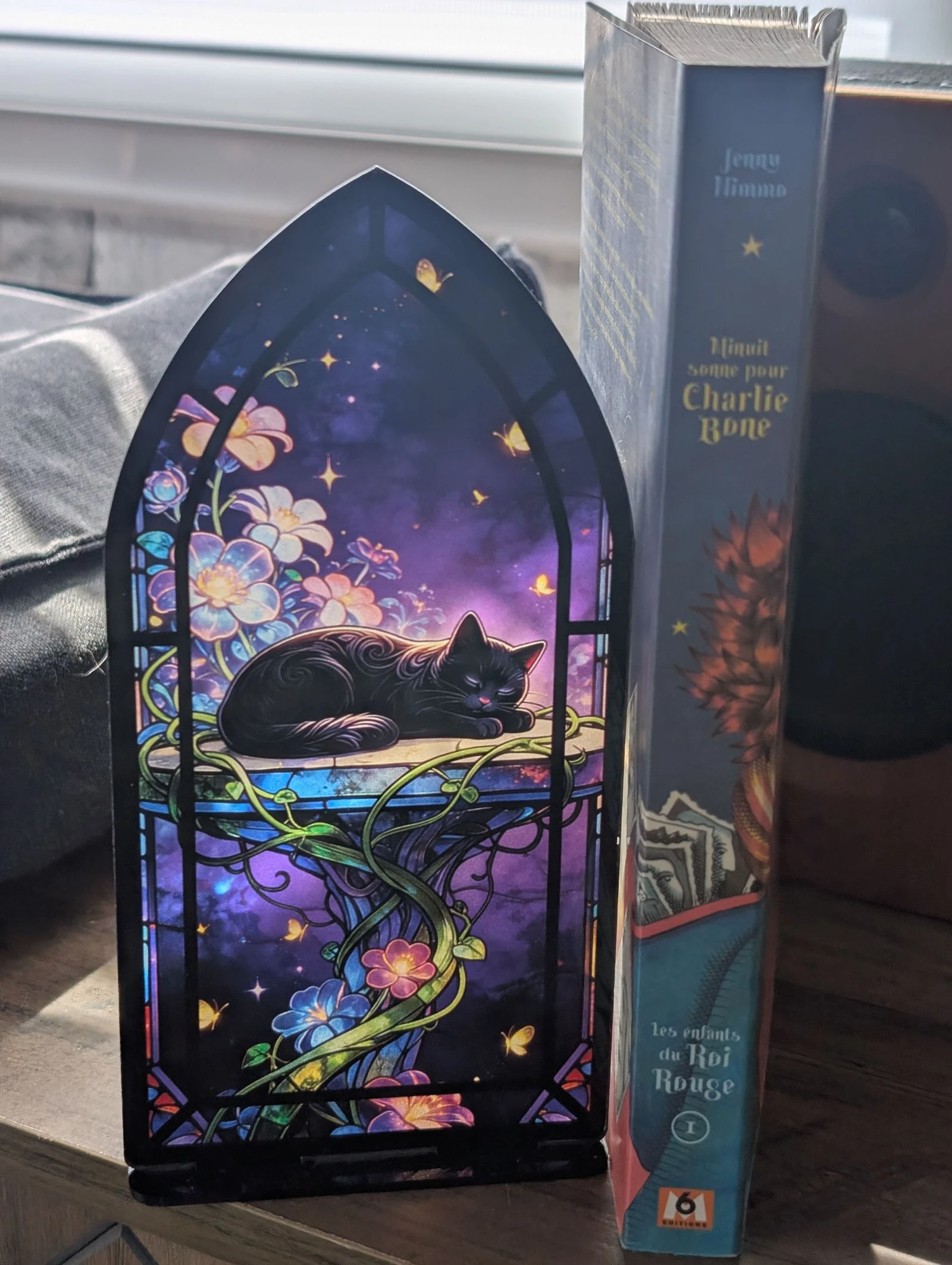 Serre livre acrylique chat